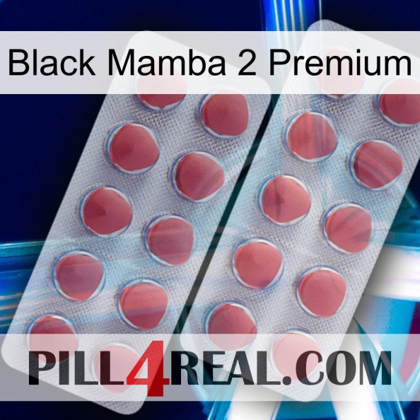 Black Mamba 2 Premium 19.jpg